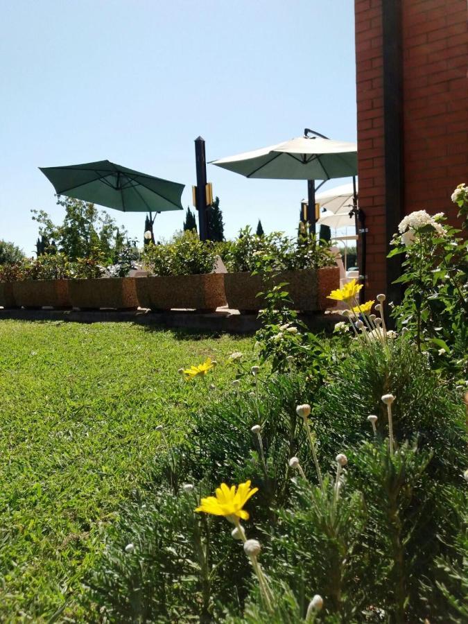Meditur Hotel Pisa Migliarino Pisano Eksteriør billede